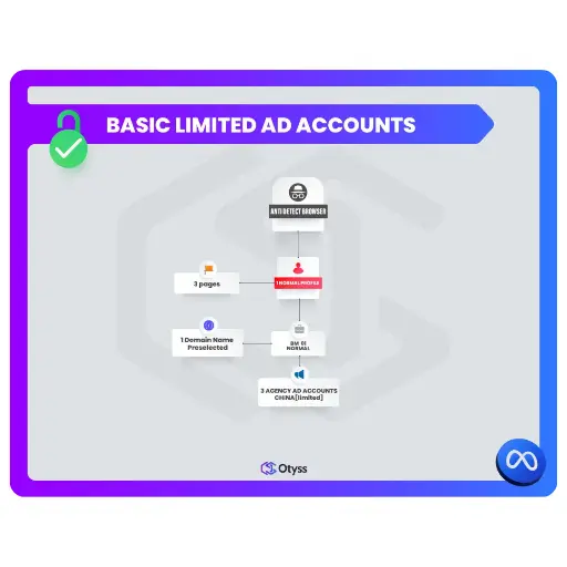 [Assets] Basic Limited Ad ccounts